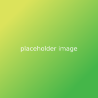 Placeholder.png